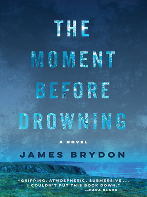cover image of The Moment Before Drowning